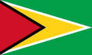 Флаг Гайана. Флаг государства, страны Гайана.